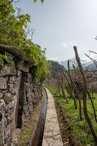 Levada hiking trail in Sao Vicente, north of Madeira Island. High mountains in the background. 
