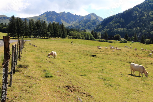 Obraz na płótnie Le volcan du Puy de Sancy dans le massif du Sancy en Auvergne w salonie