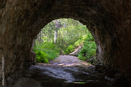 Forest landscape. Stone arch bridge in a coniferous forest. The road under the bridge leads to the forest. A dried-up river under the bridge.