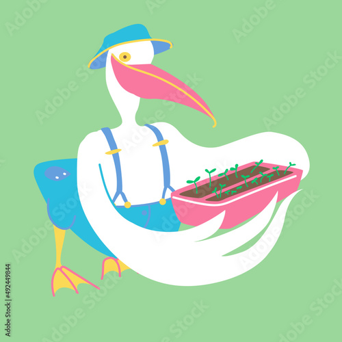 Vector illustration pelican gardener with seedlings
