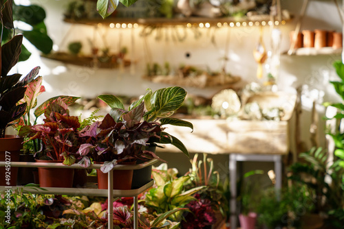 Quadro su tela Small business and gardening concept