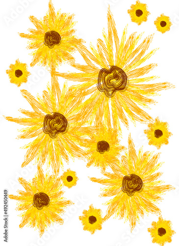 Fototapeta Naklejka Na Ścianę i Meble -  sunflower on white background