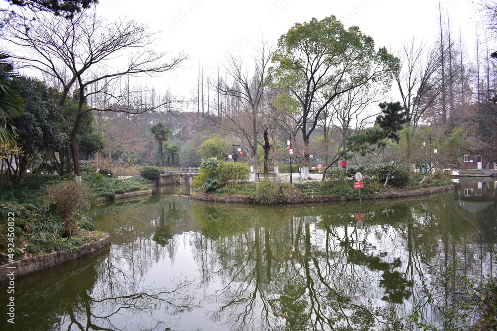 lake in the park