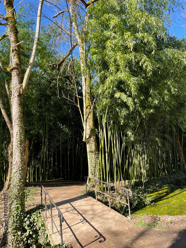 Promenade au parc