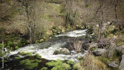 Balsemão river next to Ponte de Reconcos, Bigorne, Magueija e Pretarouca, Lamego, district of Viseu, Portugal photo