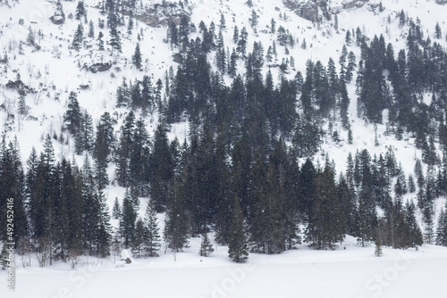 snowy mountains
