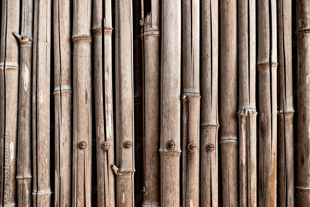 Closeup of a textured bamboo fence for backgrounds Closeup of a textured bamboo fence for backgrounds