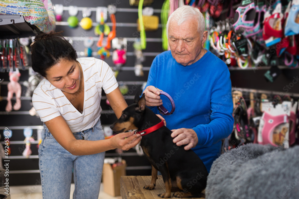 Pet shop employee helps elderly man select dog collar
