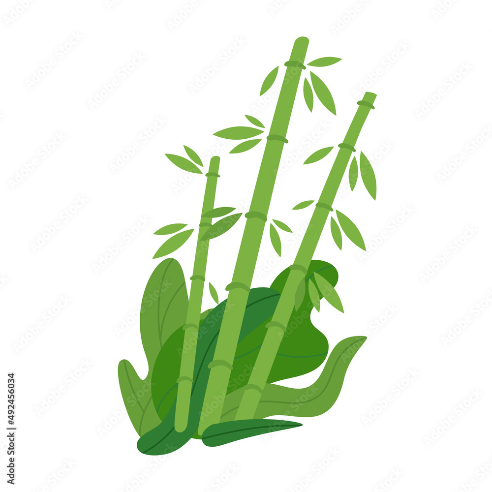 Fototapeta premium Vector flat style illustration of a bamboo
