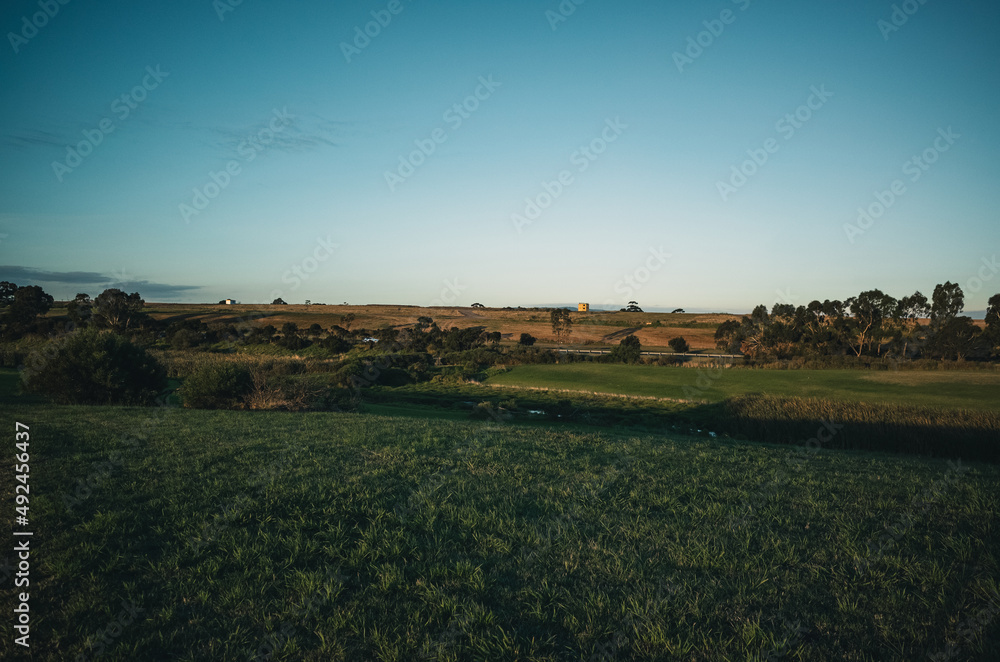 Obraz premium Grass field