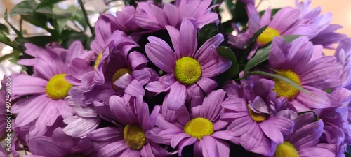 Panel kuchenny z motywem Margaretki fiolet purple kwiaty bukiet