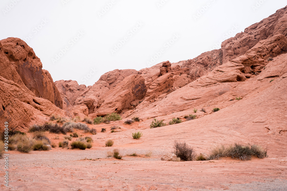 Colourful rocks and bushes in Valley of Fire Nevada State Park Colourful rocks and bushes in Valley of Fire Nevada State Park