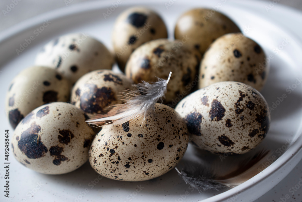 Easter quail eggs on a plate on the table Easter quail eggs on a plate on the table