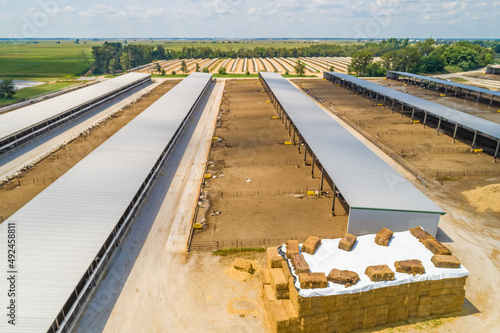 Aerial Shot of Large Cattle raising facility with rows of Calf Pens  photo