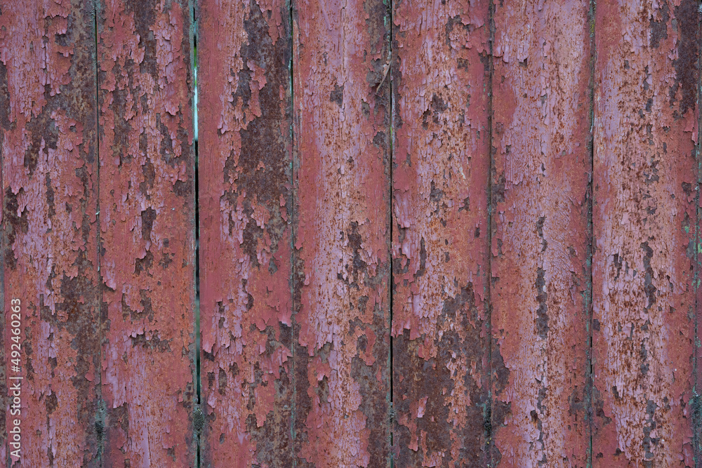 vertically arranged close-up of a metal fence where the light pink color lobes off vertically arranged close-up of a metal fence where the light pink color lobes off