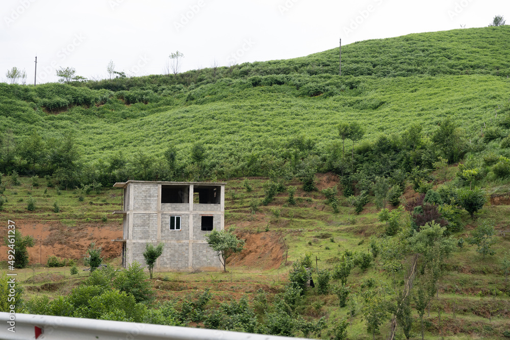 mouse eco-block house located at the foot of the hill, surrounded by a green hill overgrown with rum and grass