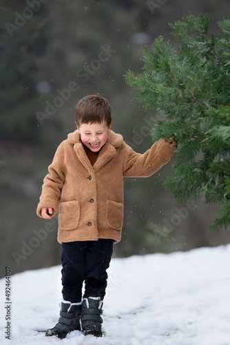 A boy is shaling a tree on a snow