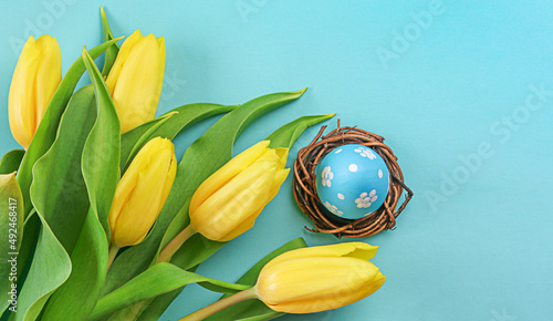 Fotografie, Obraz Blue Easter egg lie in a nest with yellow tulips arrangement on blue background
