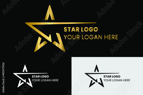 Modern Gold Star Logo in elegant style on Black Background. Vector white star logo in elegant style on black background. Vector black star logo in elegant style on white background.