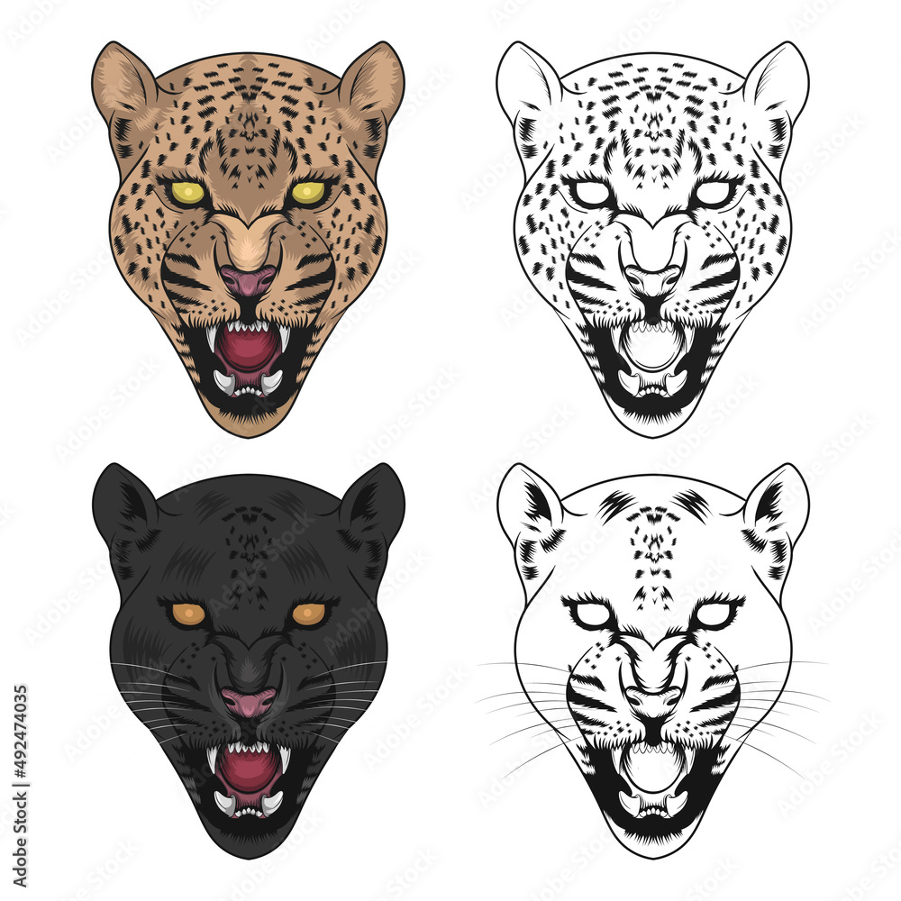 Leopards. Vector hand draw design. Portrait of Leopard