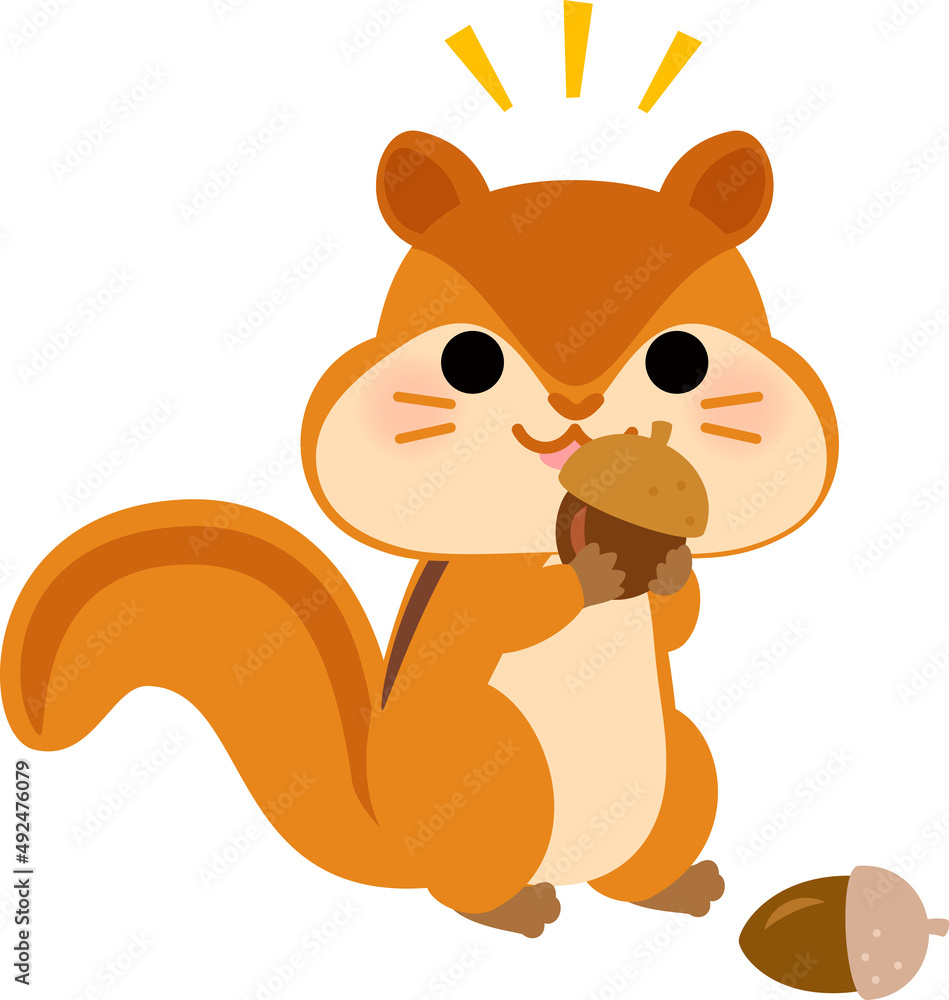 頬袋にどんぐりを入れるリス Stock Vector Adobe Stock