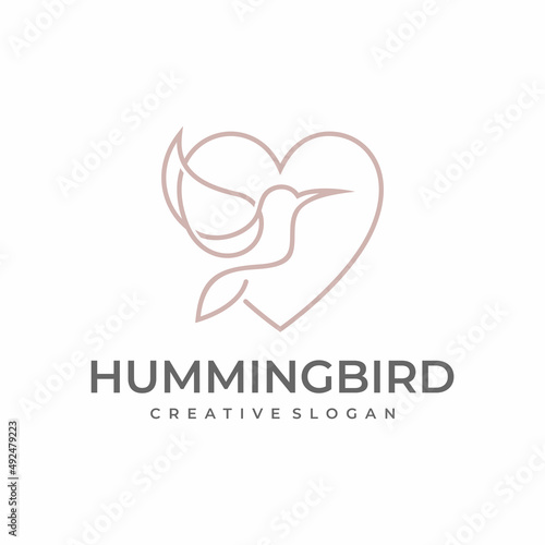 hummingbird logo design vector with full line and color styles