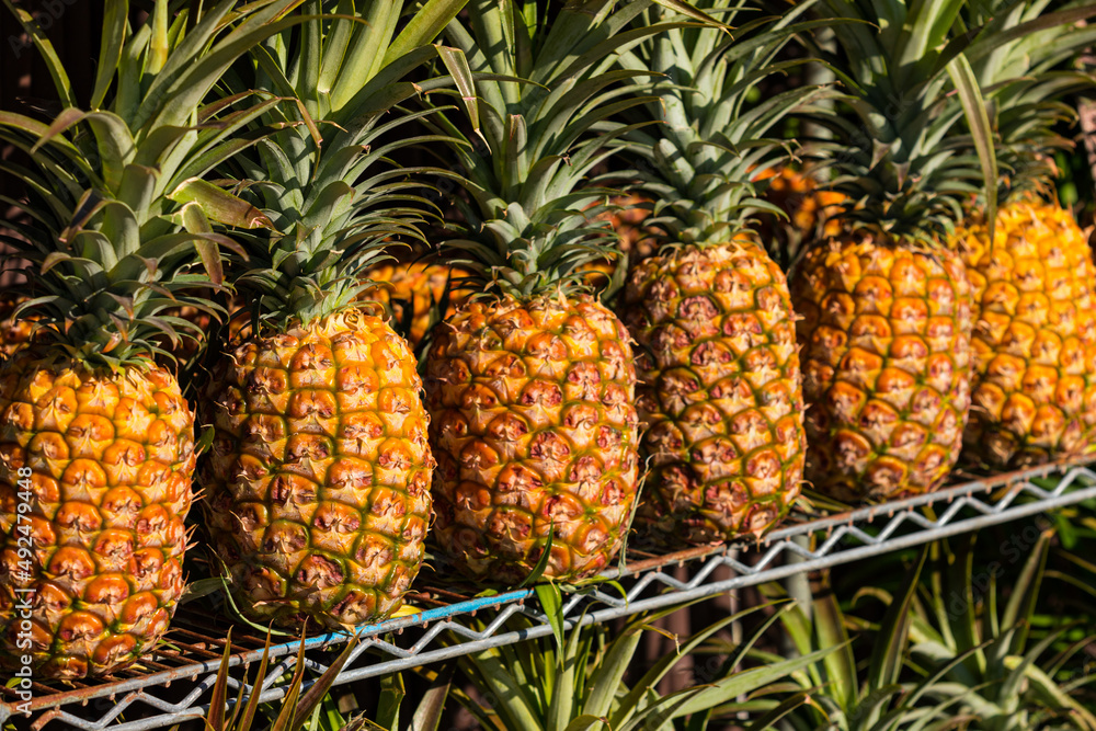 Pineapples on shelves in the market ready for sale at the local market. Selective focus. Pineapples on shelves in the market ready for sale at the local market. Selective focus.