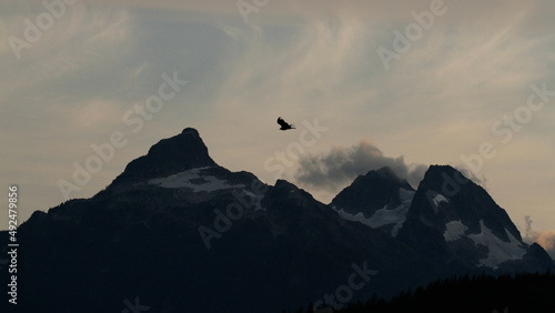 Turkey Vulture flying over Omega Mountain, Pelops, and Niobe