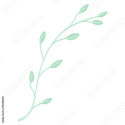 Leaf vector. Collection of leaves