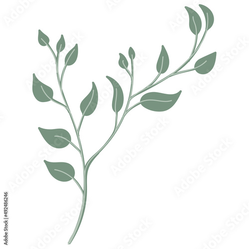 Leaf vector. Collection of leaves
