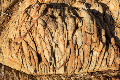 Patterns and textures in rock formations along the riverbanks of the Derwent river Hobart photo