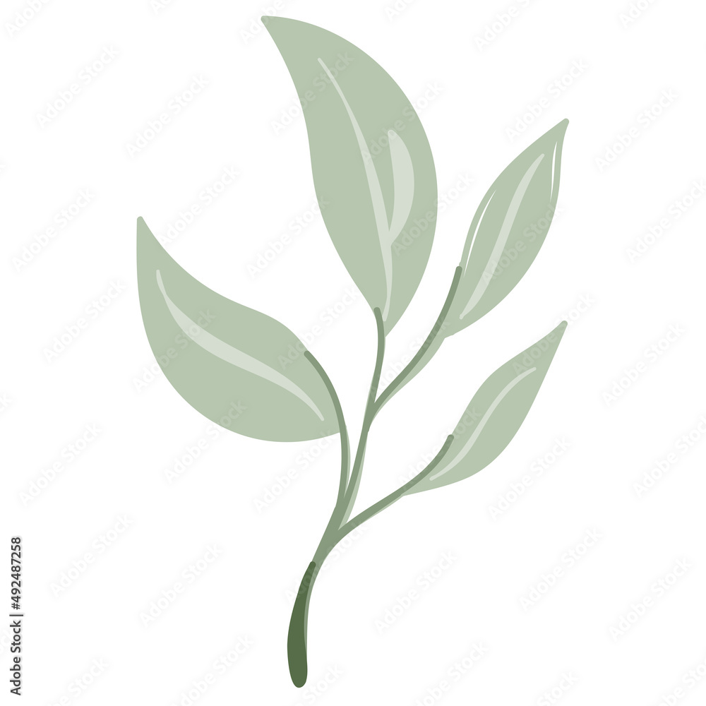 Leaf vector. Collection of leaves Leaf vector. Collection of leaves