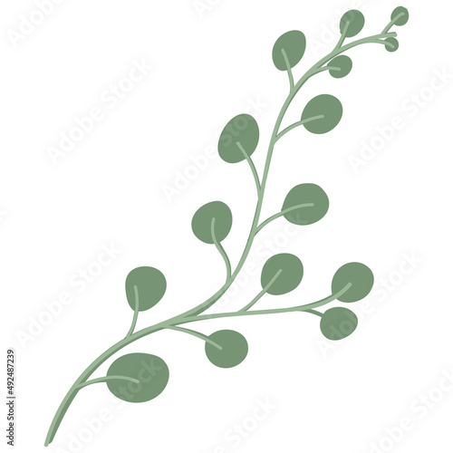 Leaf vector. Collection of leaves
