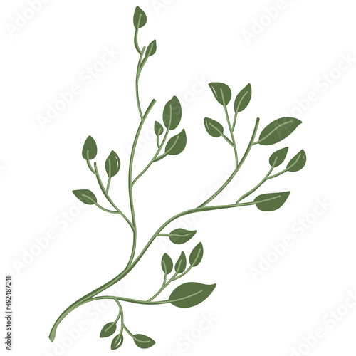 Leaf vector. Collection of leaves