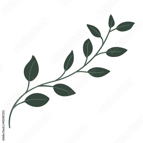 Leaf vector. Collection of leaves