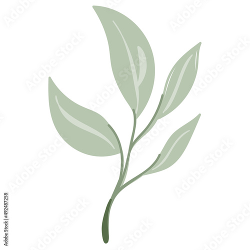 Leaf vector. Collection of leaves