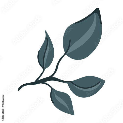 Leaf vector. Collection of leaves