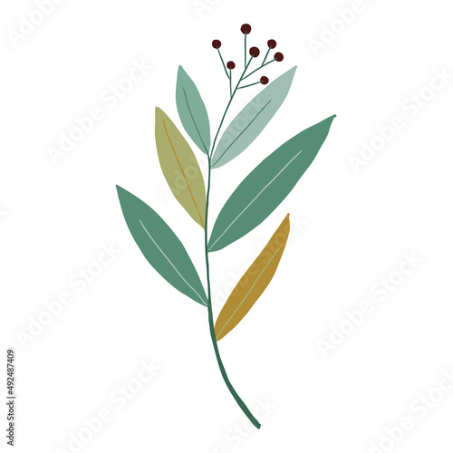 Leaf vector. Collection of leaves