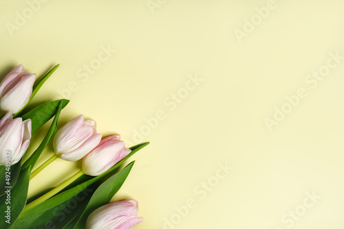 Fototapeta Naklejka Na Ścianę i Meble -  Bouquet of spring pink tulips on a yellow background. Easter spring background with copy space