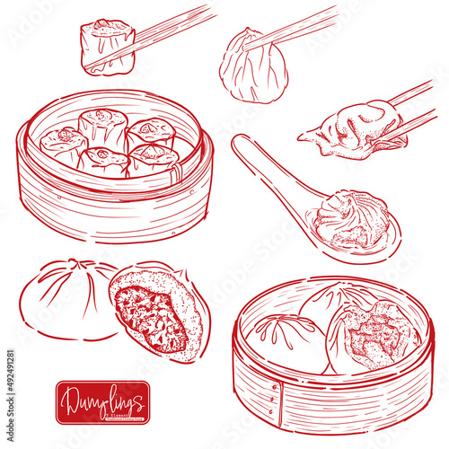 Dumplings hand drawn vector illustration. food sketch design 