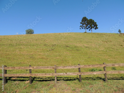 Cushion with fence and trees with blue sky in the background