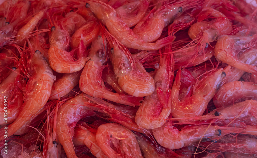 A pile of shrimps for sale at a fish counter. Fresh prawn sale in a fish market. Shrimps in ice.