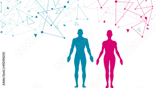 sistema immunitario, corpo umano, silhouette,