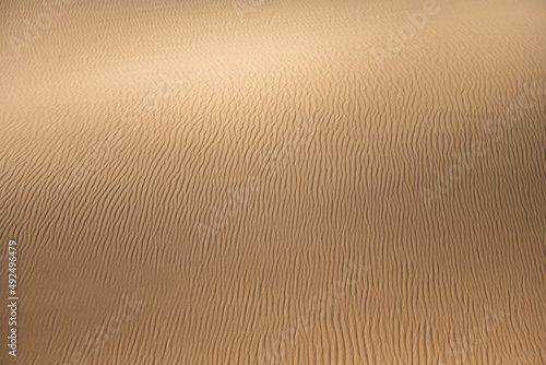 Namibia  the Namib desert  graphic landscape of red dunes  