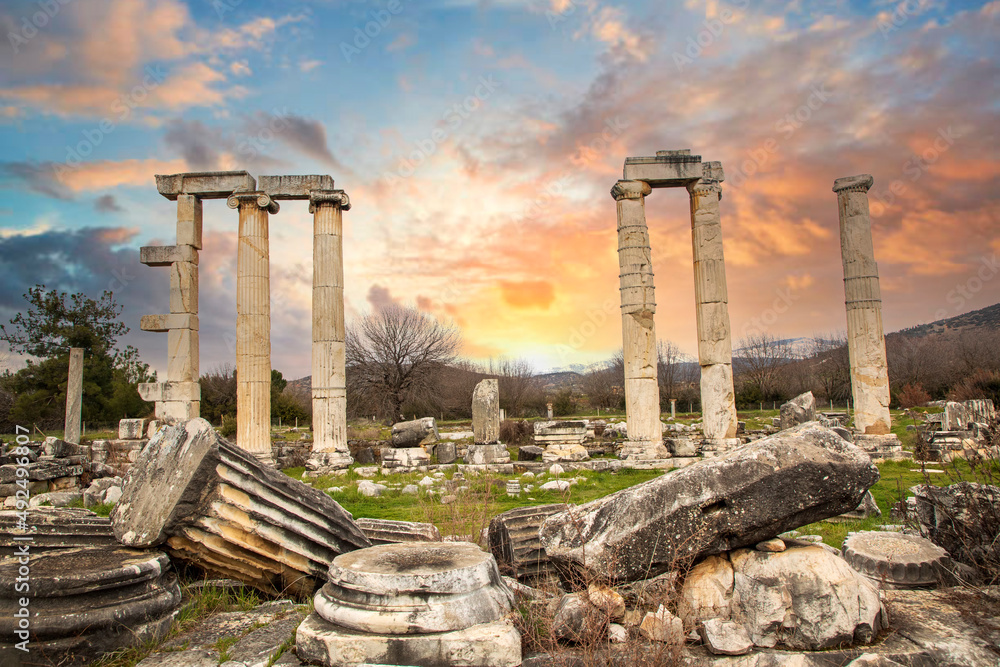 Fototapeta premium Afrodisias Ancient city. (Aphrodisias). The common name of many ancient cities dedicated to the goddess Aphrodite. The most famous of cities called Aphrodisias. Karacasu - Aydın, TURKEY
