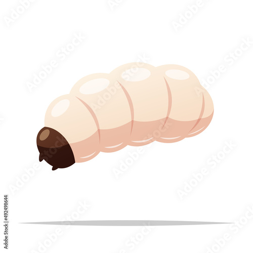 Maggot or grub larva vector isolated illustration photo