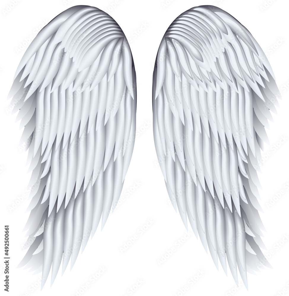 Obraz premium Wings, file EPS.8 illustration.