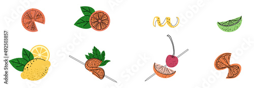 Set of fruit flat illustration. Cocktail garnish. Vector illustration of citrus
