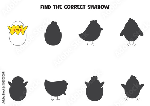Find the correct shadow of cute yellow chick. Logical puzzle for kids.