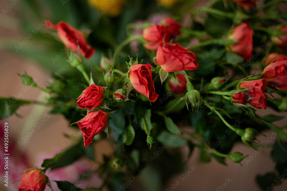 beautiful tulips and roses in a vase. spring flowers beautiful tulips and roses in a vase. spring flowers
